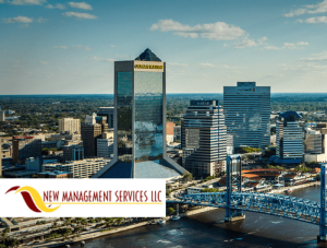 New Management Services case study